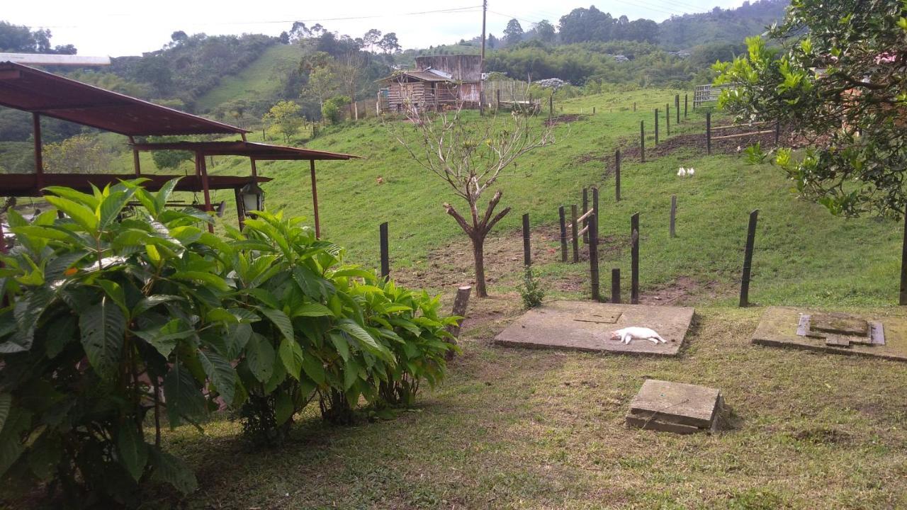 Rancho Ventura Villa Filandia Dış mekan fotoğraf