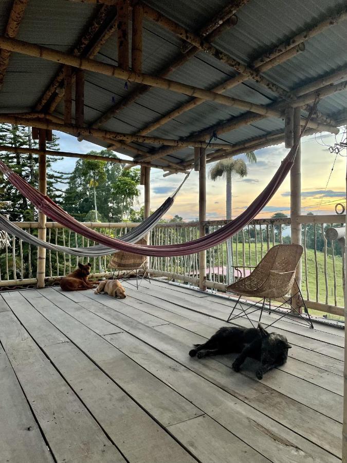 Rancho Ventura Villa Filandia Dış mekan fotoğraf