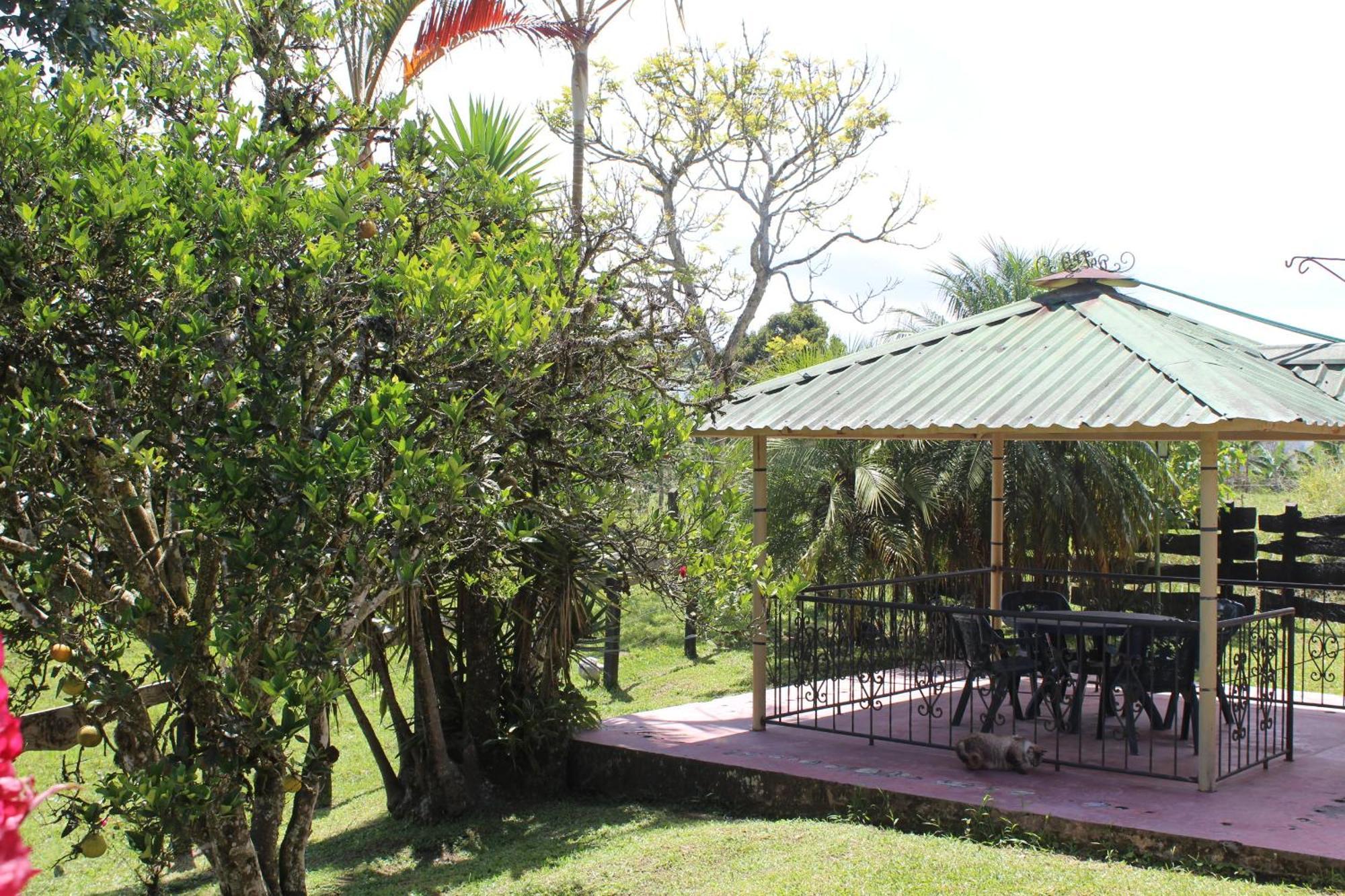 Rancho Ventura Villa Filandia Dış mekan fotoğraf