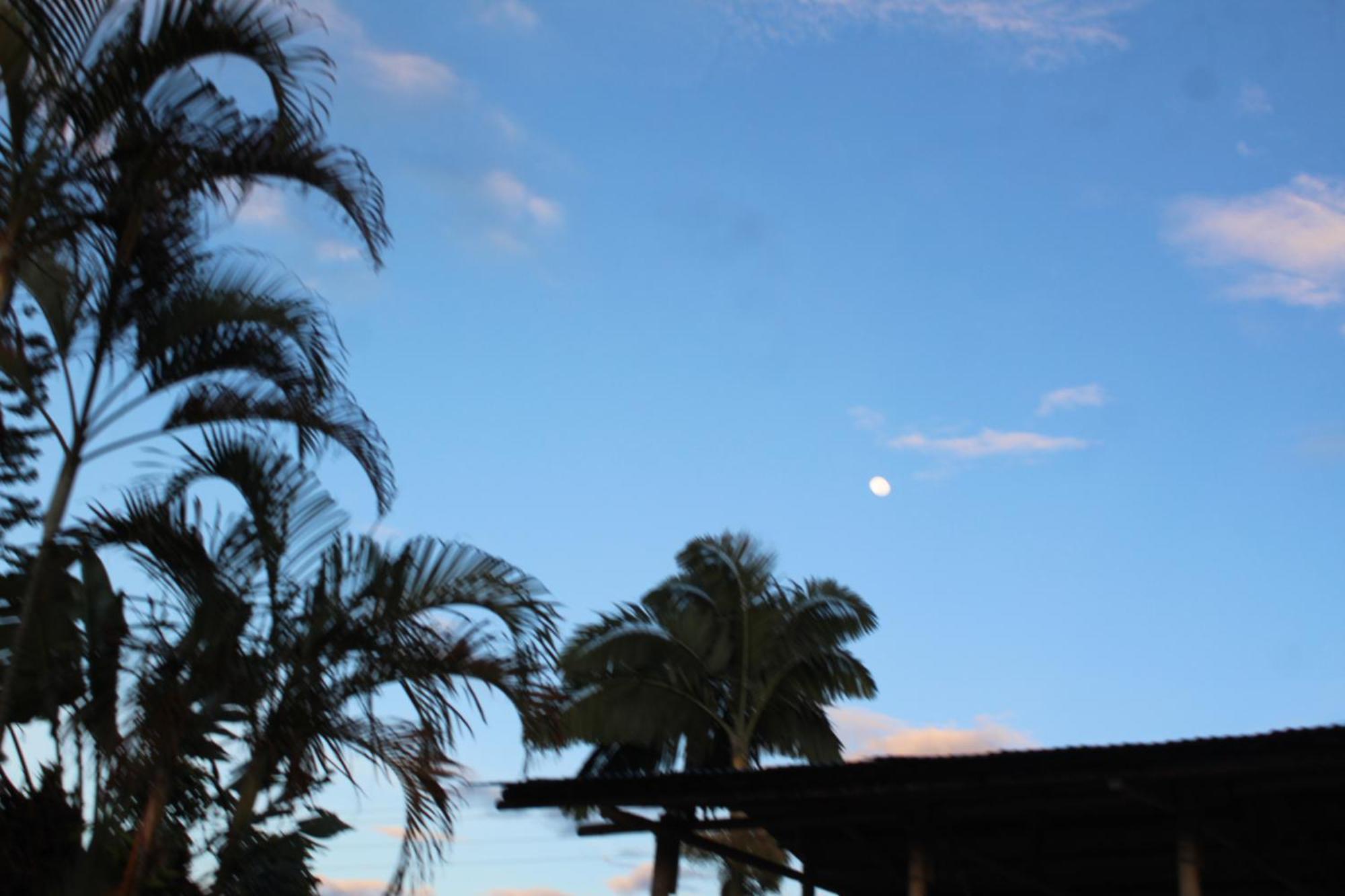 Rancho Ventura Villa Filandia Dış mekan fotoğraf